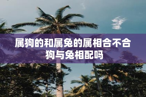 属狗的和属兔的属相合不合 狗与兔相配吗