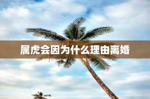 属虎会因为什么理由离婚