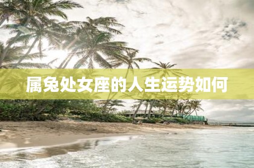 属兔处女座的人生运势如何