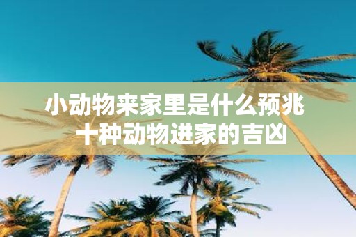 小动物来家里是什么预兆 十种动物进家的吉凶