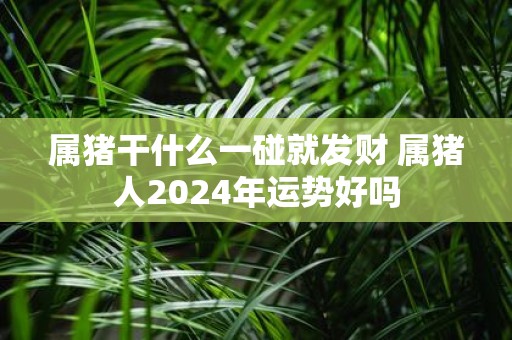属猪干什么一碰就发财 属猪人2025年运势好吗
