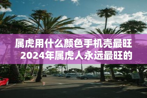 属虎用什么颜色手机壳最旺 2025年属虎人永远最旺的颜色