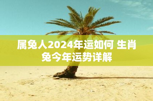 属兔人2025年运如何 生肖兔今年运势详解