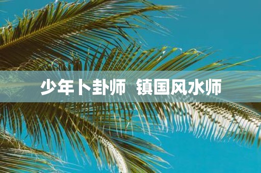 少年卜卦师 镇国风水师