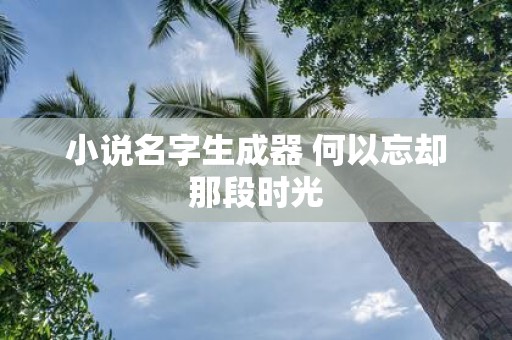 小说名字生成器 何以忘却那段时光