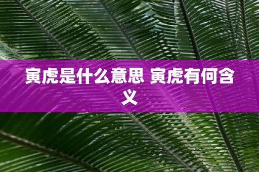 寅虎是什么意思 寅虎有何含义