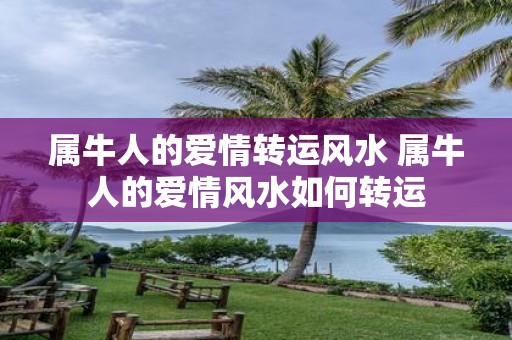 属牛人的爱情转运风水 属牛人的爱情风水如何转运