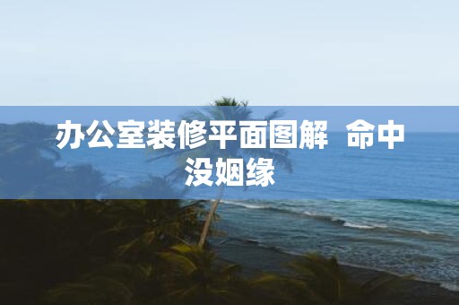 办公室装修平面图解 命中没姻缘