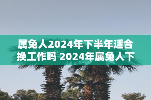 属兔人2025年下半年适合换工作吗 2025年属兔人下半年工作运势