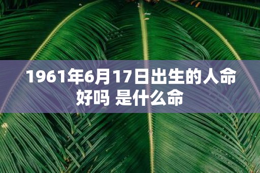 1961年6月17日出生的人命好吗 是什么命