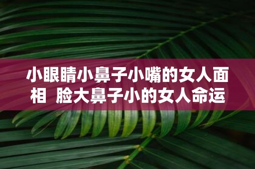 小眼睛小鼻子小嘴的女人面相 脸大鼻子小的女人命运