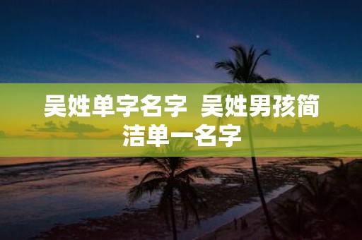 吴姓单字名字 吴姓男孩简洁单一名字