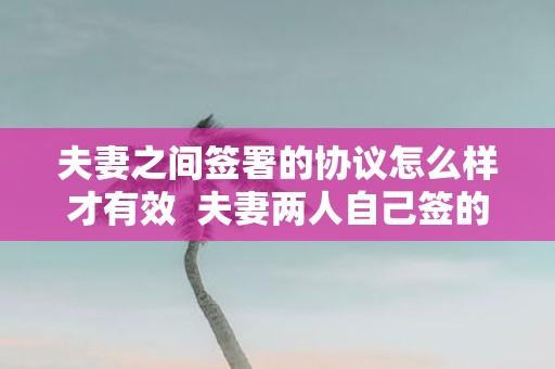 夫妻之间签署的协议怎么样才有效 夫妻两人自己签的协议有效吗