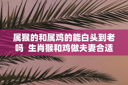 属猴的和属鸡的能白头到老吗 生肖猴和鸡做夫妻合适吗