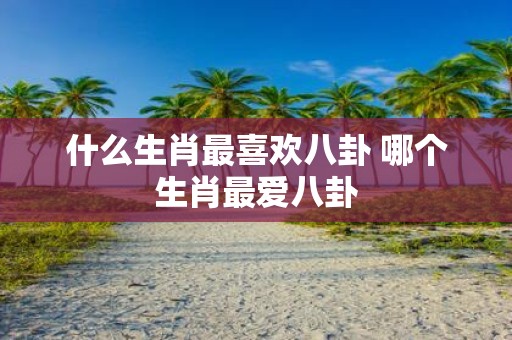 什么生肖最喜欢八卦 哪个生肖最爱八卦
