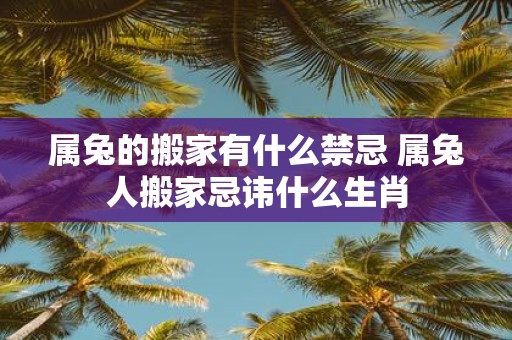 属兔的搬家有什么禁忌 属兔人搬家忌讳什么生肖