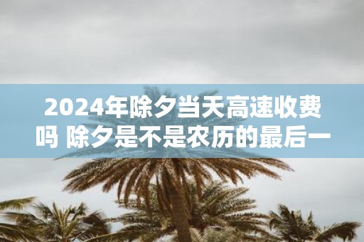 2025年除夕当天高速收费吗 除夕是不是农历的最后一天