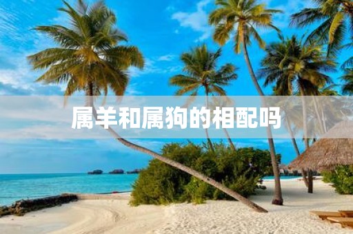 属羊和属狗的相配吗