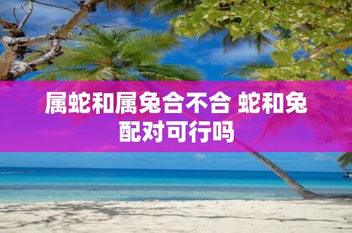 属蛇和属兔合不合 蛇和兔配对可行吗