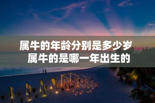 属牛的年龄分别是多少岁 属牛的是哪一年出生的