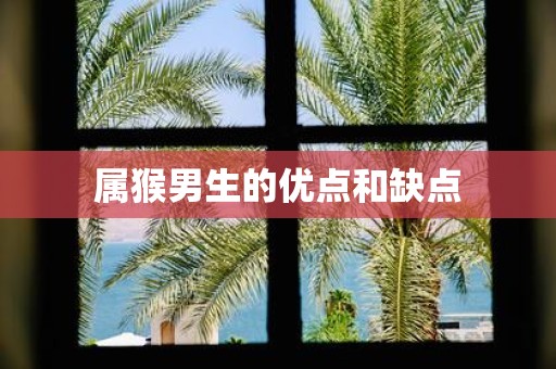 属猴男生的优点和缺点