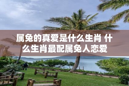 属兔的真爱是什么生肖 什么生肖最配属兔人恋爱