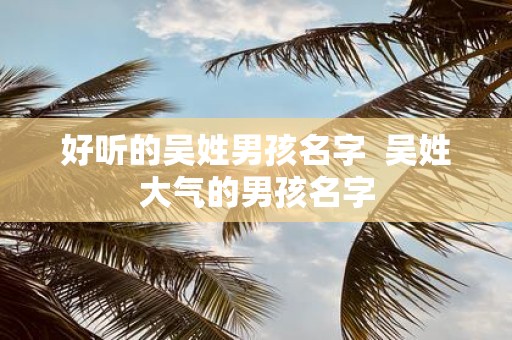 好听的吴姓男孩名字 吴姓大气的男孩名字