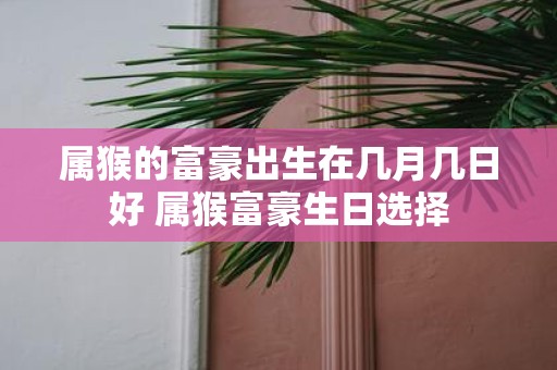 属猴的富豪出生在几月几日好 属猴富豪生日选择