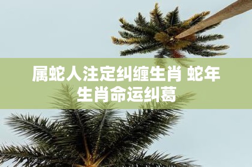 属蛇人注定纠缠生肖 蛇年生肖命运纠葛