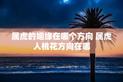 属虎的姻缘在哪个方向 属虎人桃花方向在哪
