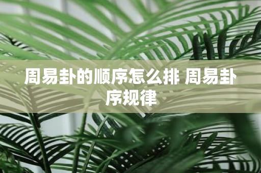 周易卦的顺序怎么排 周易卦序规律