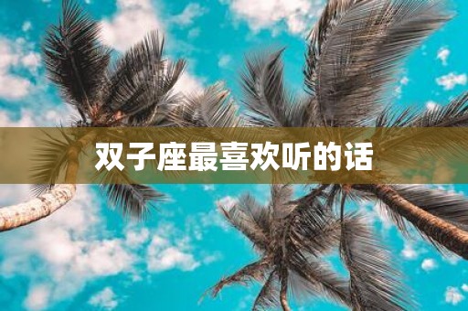 双子座最喜欢听的话
