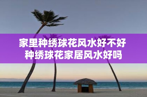 家里种绣球花风水好不好 种绣球花家居风水好吗