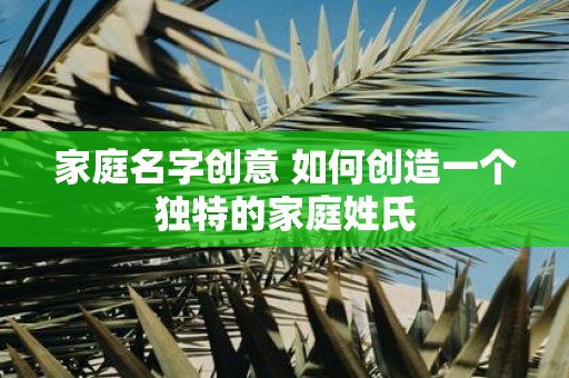 家庭名字创意 如何创造一个独特的家庭姓氏