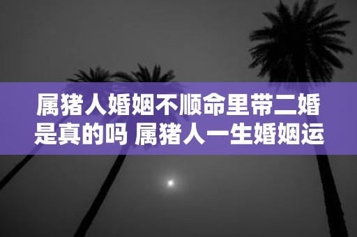 属猪人婚姻不顺命里带二婚是真的吗 属猪人一生婚姻运势