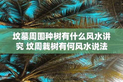 坟墓周围种树有什么风水讲究 坟周栽树有何风水说法