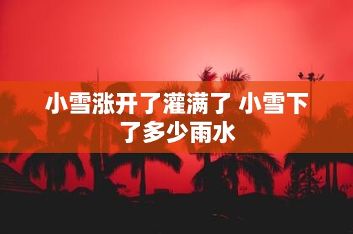 小雪涨开了灌满了 小雪下了多少雨水