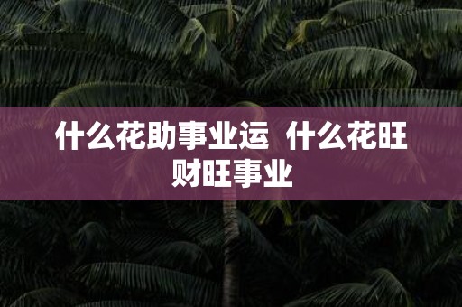 什么花助事业运 什么花旺财旺事业