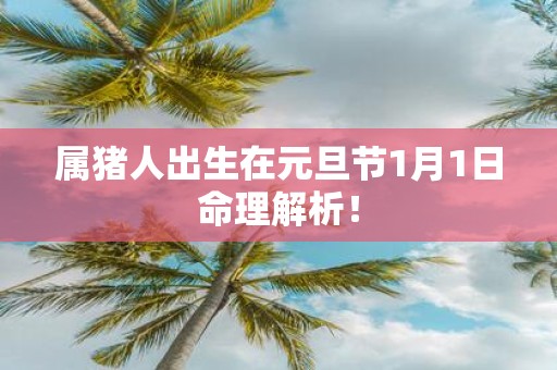 属猪人出生在元旦节1月1日命理解析！