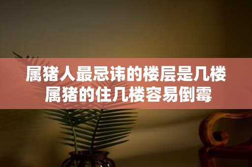 属猪人最忌讳的楼层是几楼 属猪的住几楼容易倒霉