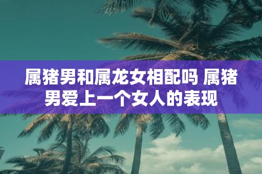 属猪男和属龙女相配吗 属猪男爱上一个女人的表现