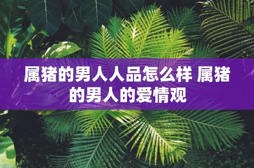 属猪的男人人品怎么样 属猪的男人的爱情观