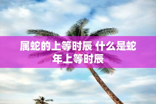 属蛇的上等时辰 什么是蛇年上等时辰