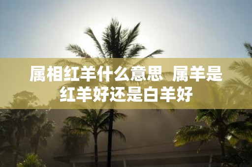 属相红羊什么意思 属羊是红羊好还是白羊好