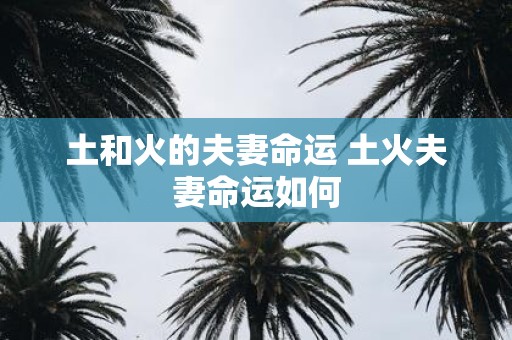 土和火的夫妻命运 土火夫妻命运如何