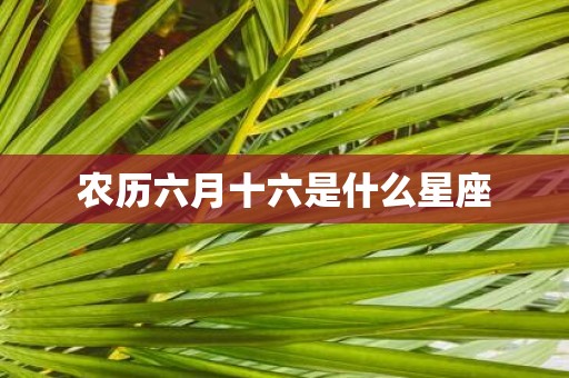 农历六月十六是什么星座