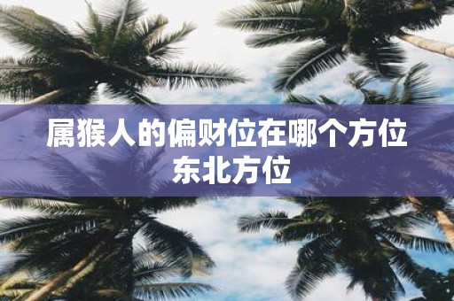 属猴人的偏财位在哪个方位 东北方位