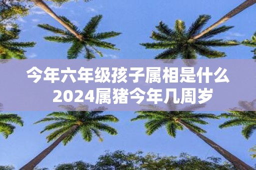 今年六年级孩子属相是什么 2025属猪今年几周岁