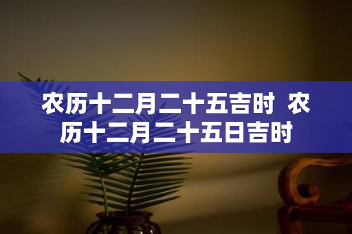 农历十二月二十五吉时 农历十二月二十五日吉时
