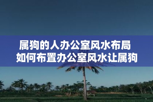 属狗的人办公室风水布局 如何布置办公室风水让属狗的人事业成功